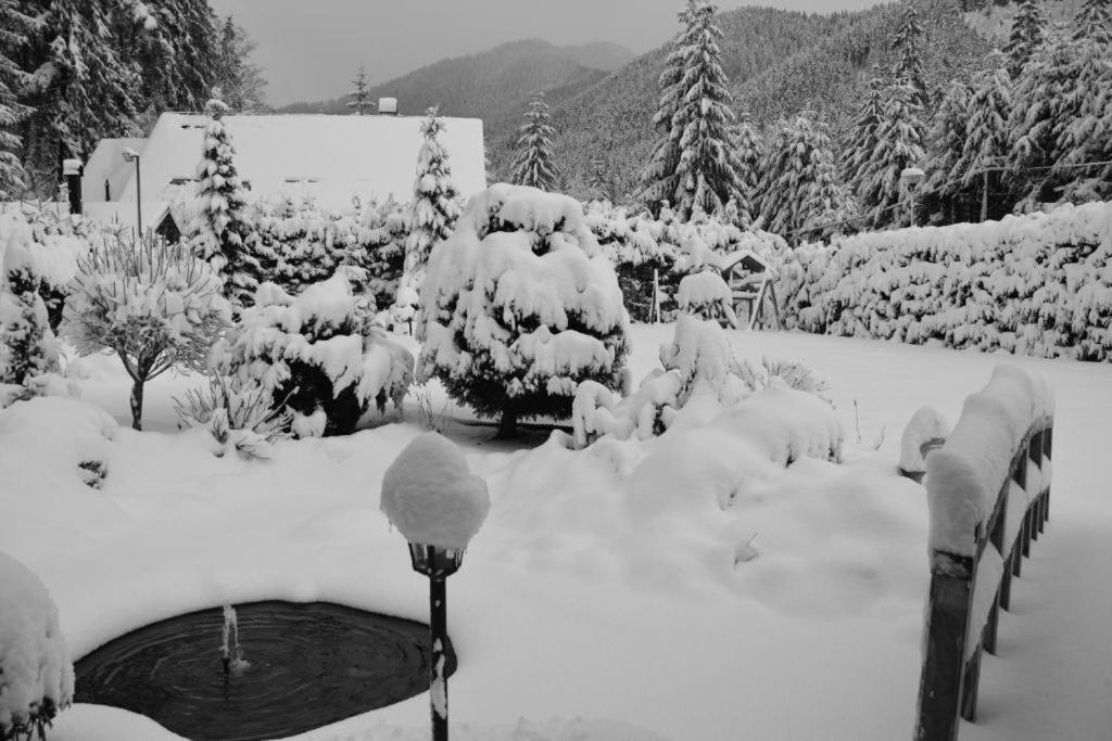 Chalets Adriana Demanovska Dolina Luaran gambar